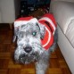 JACK NAVIDAD 2009